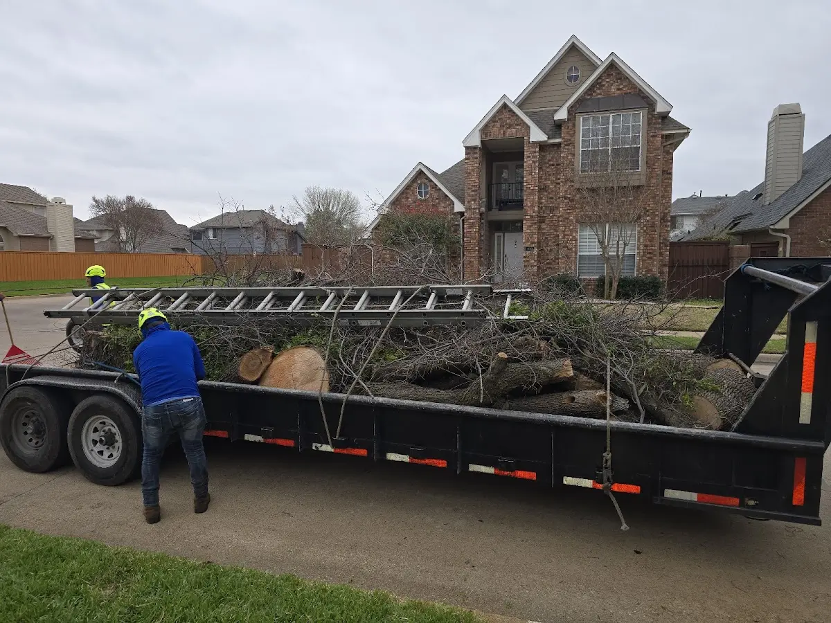 Expert Tree Removal with proper safety equipment in Logansport